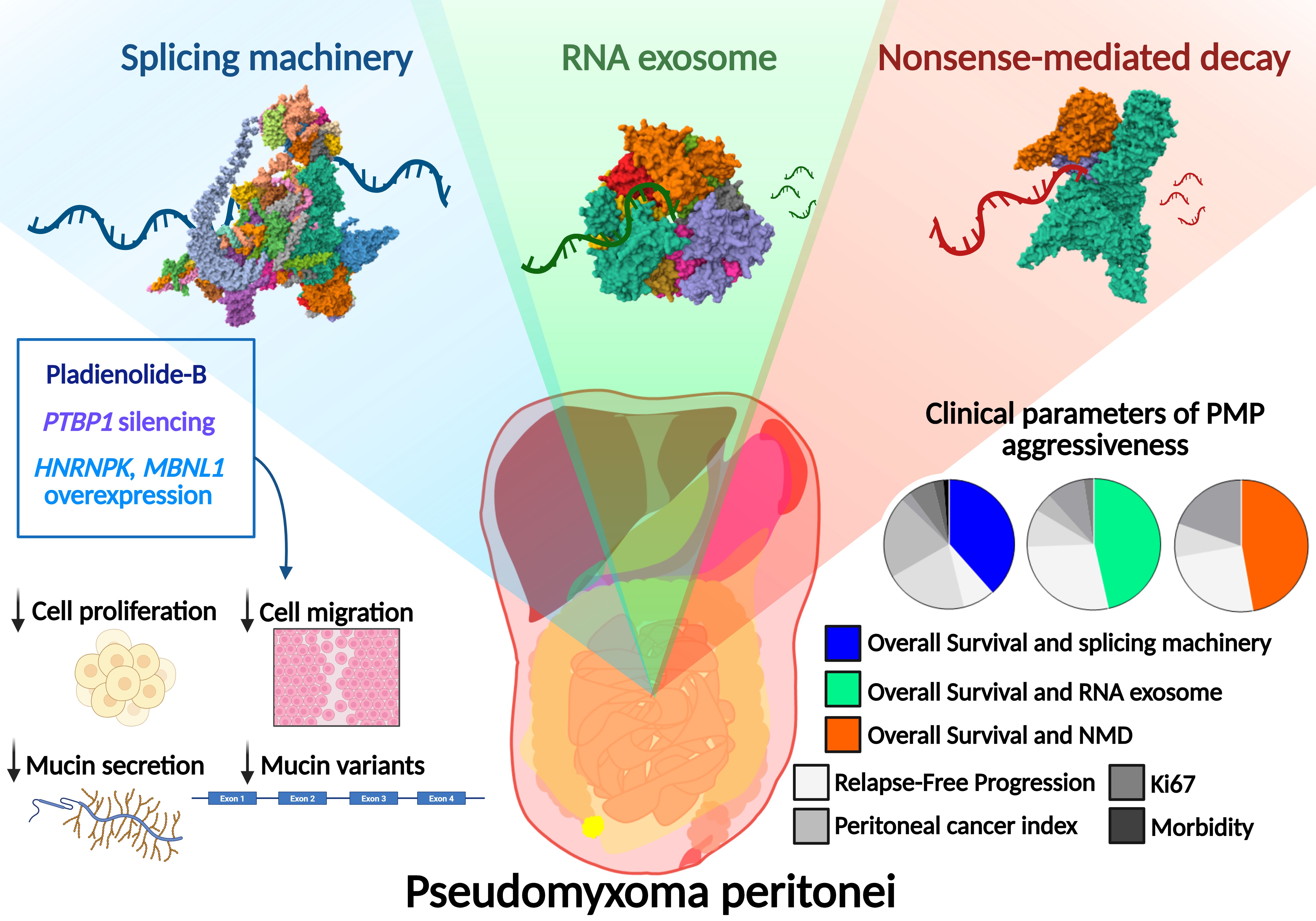 Uncovering splicing dysregulation in pseudomyxoma peritonei 