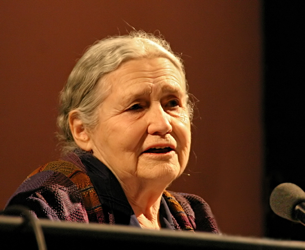 Inspirational leadership quote | Doris Lessing