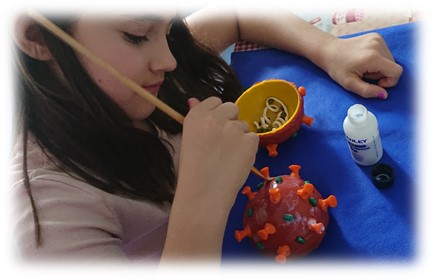 Children getting into science: understand coronavirus at home