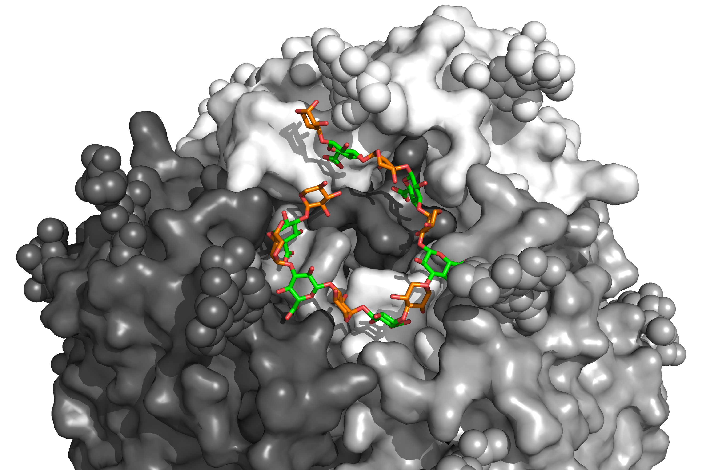 A perfectly timed exit: the Lassa virus’ clever strategy to protect its spike protein  