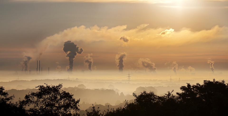 Economic growth and human mortality