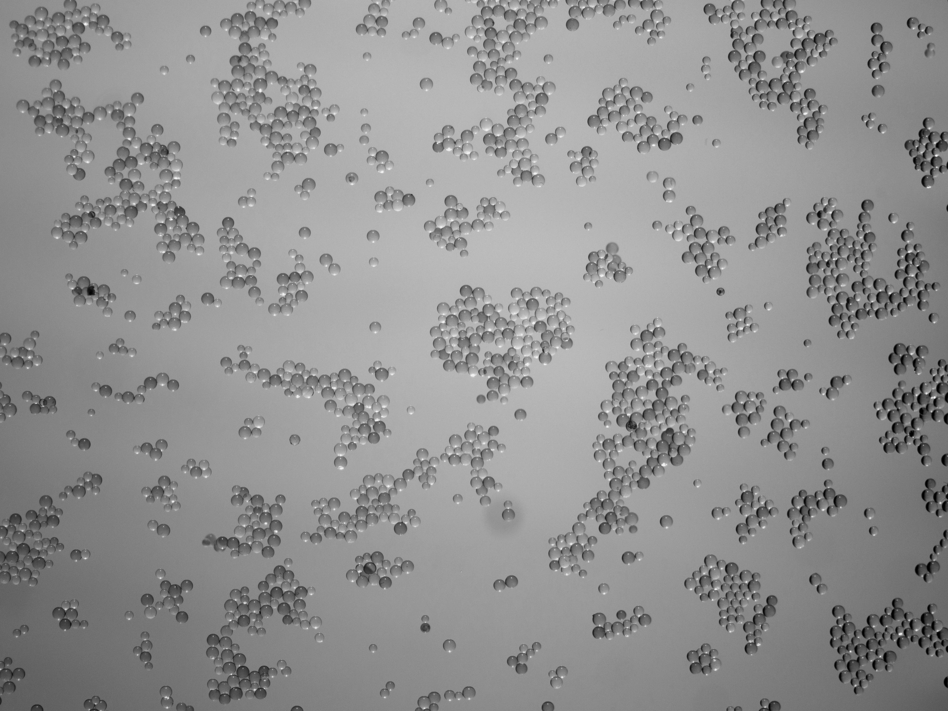 A first-principle mechanism for particulate aggregation and self-assembly in stratified fluids.