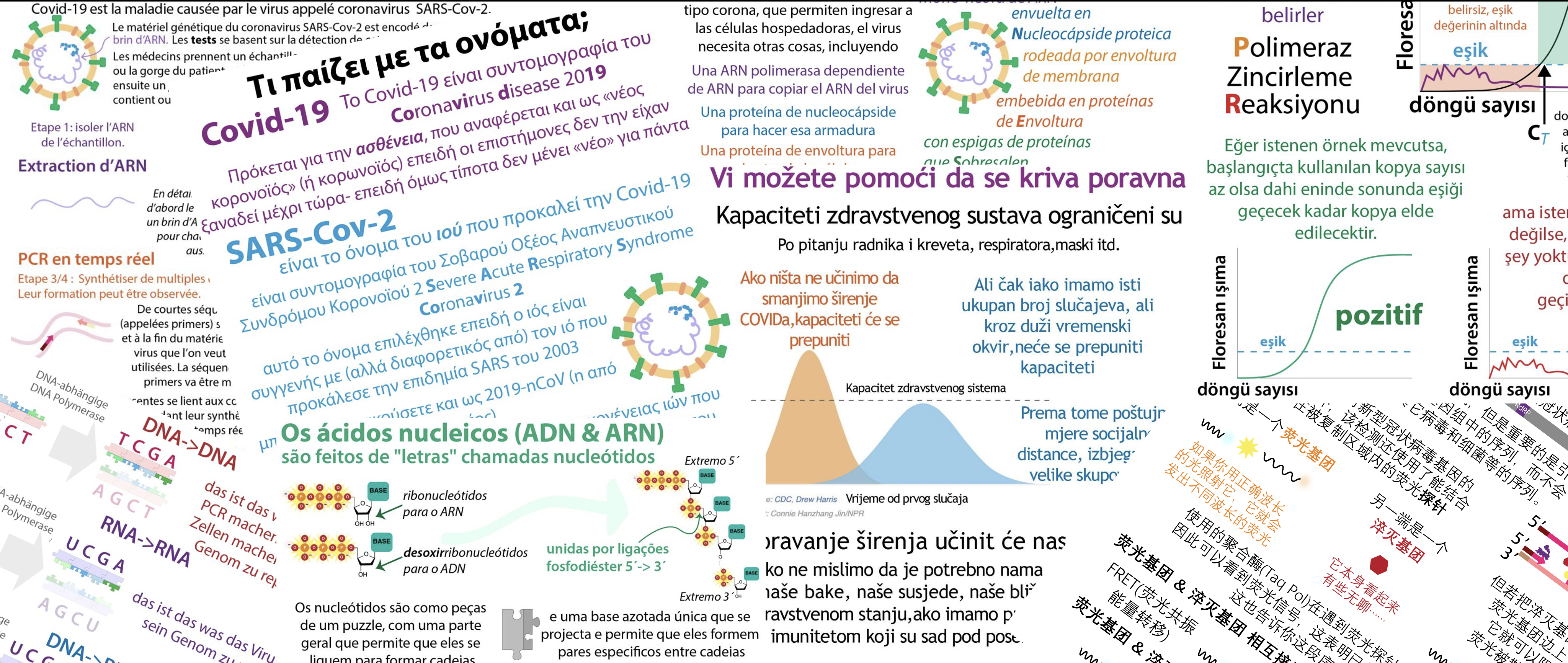 COVID-19 knows no borders.  Neither should understanding the basis of COVID-19 tests.