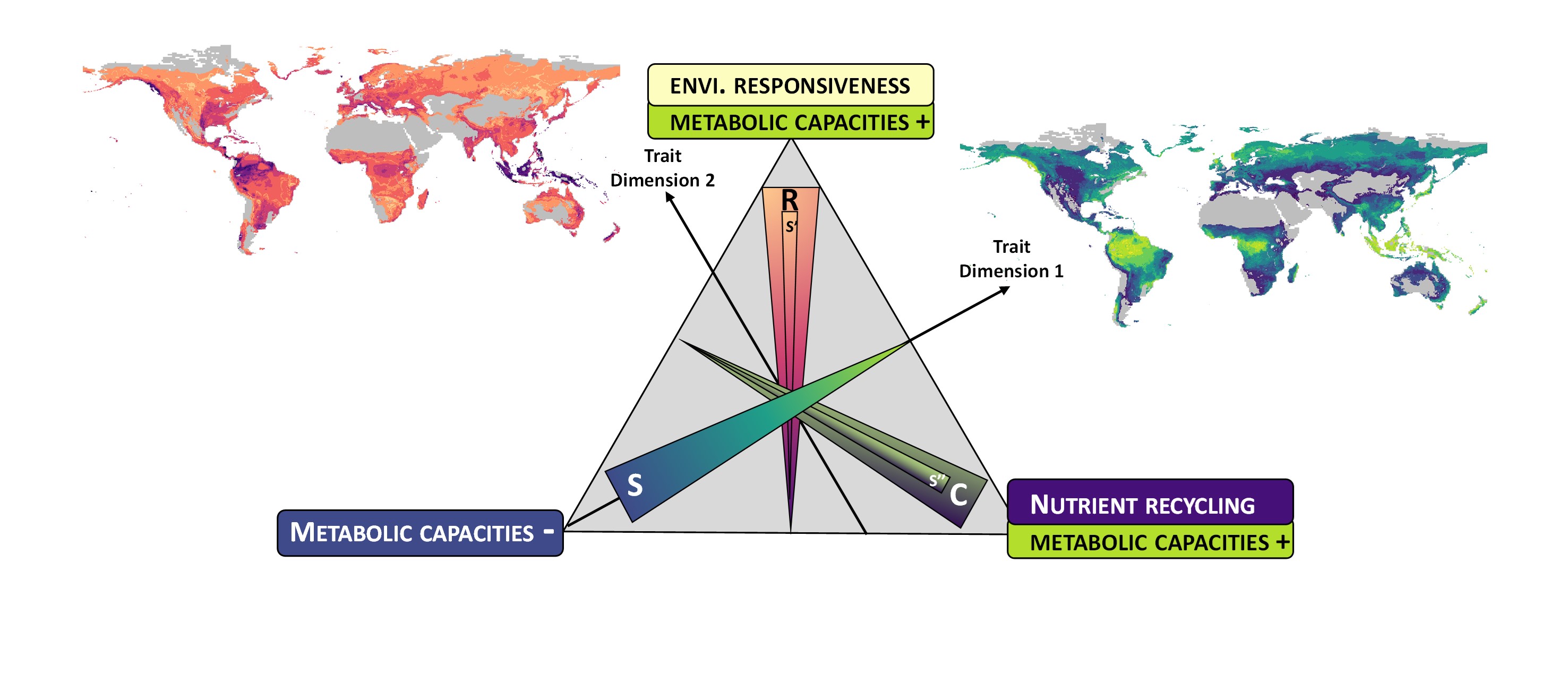 Life history strategies of soil bacterial communities across global terrestrial biomes
