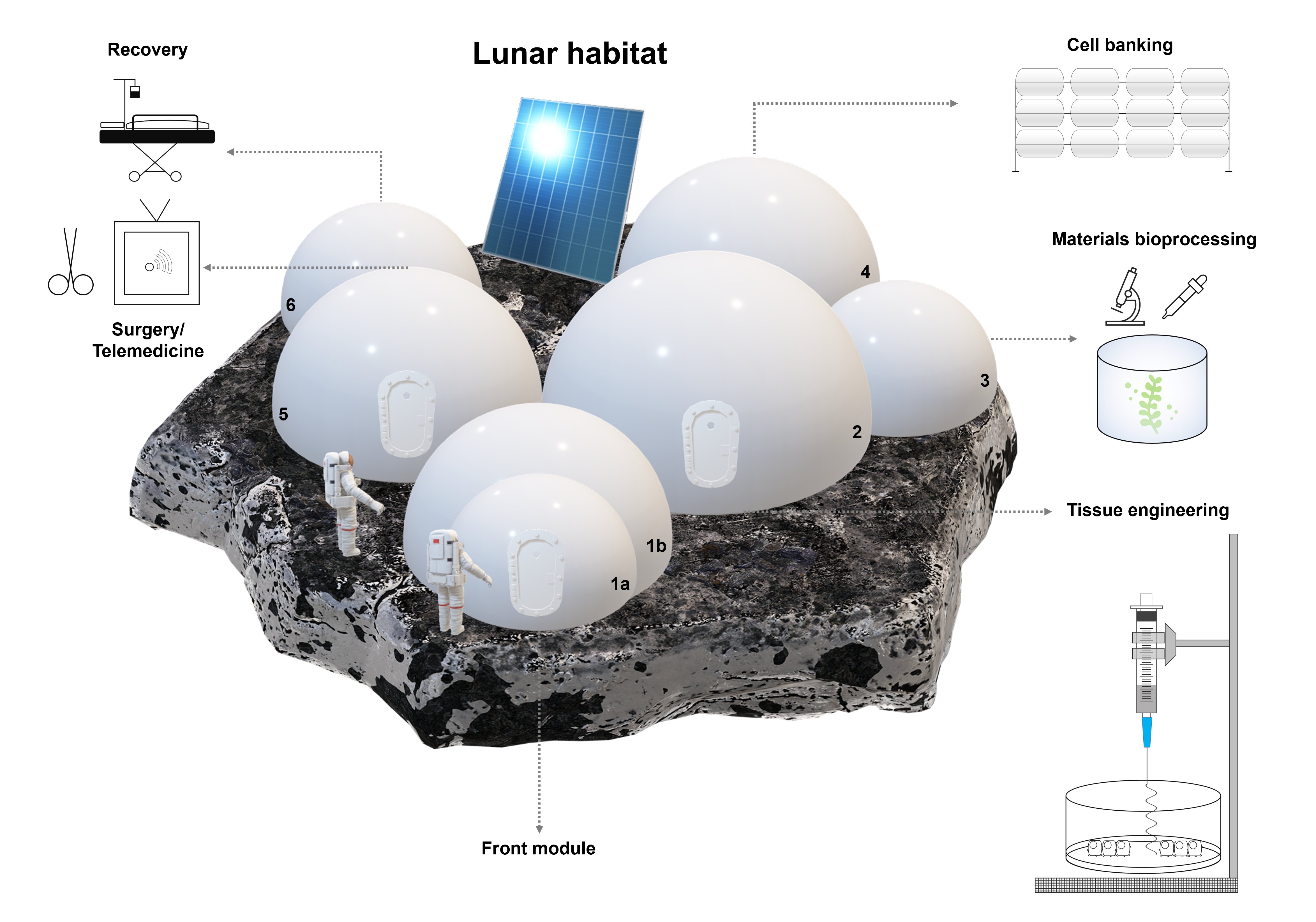 Planetary habitats for bioengineering and clinical operations: Addressing the need for tissue repair and research during deep-space exploration