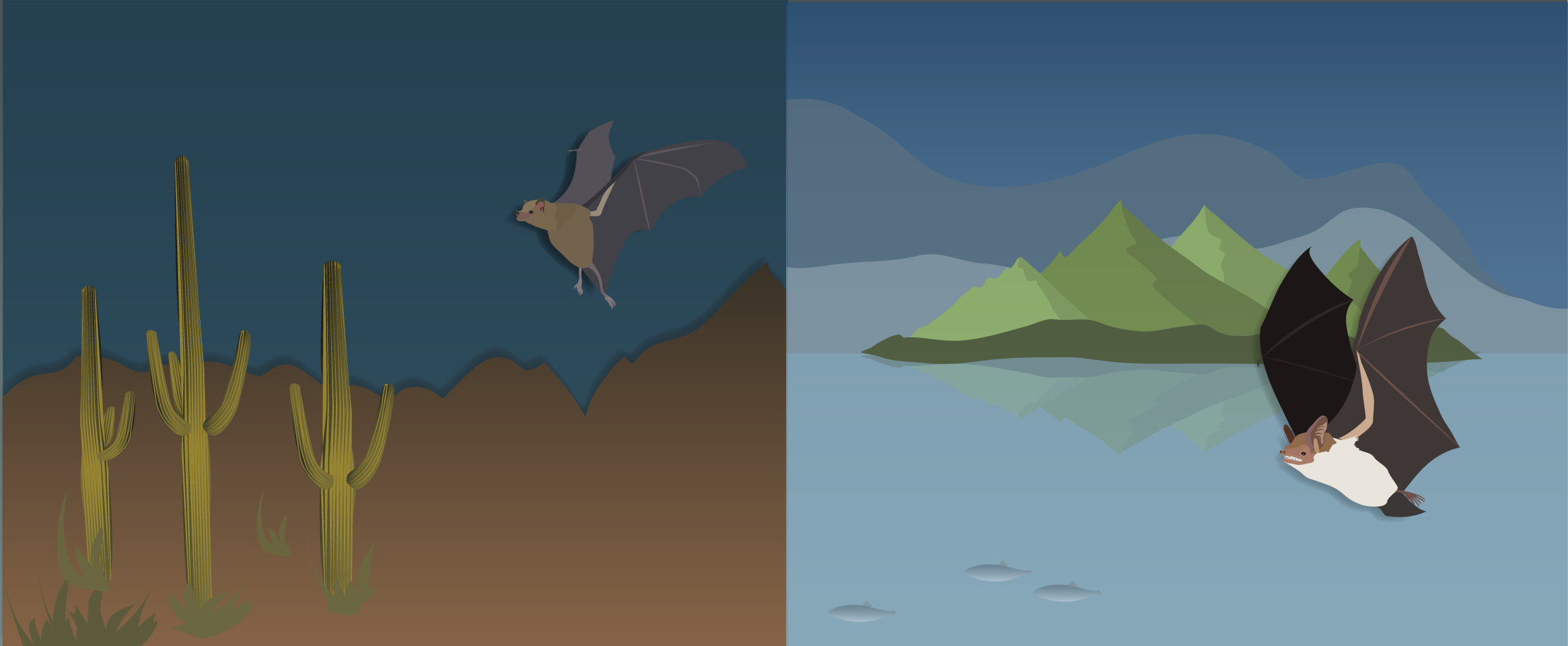 Sensing the world: What determines the information update rate in echolocating bats