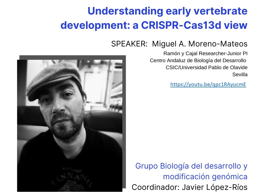 SEBBM webinar: "Understandindg early vertebrate development: a CRISPR-Cast13d view"
