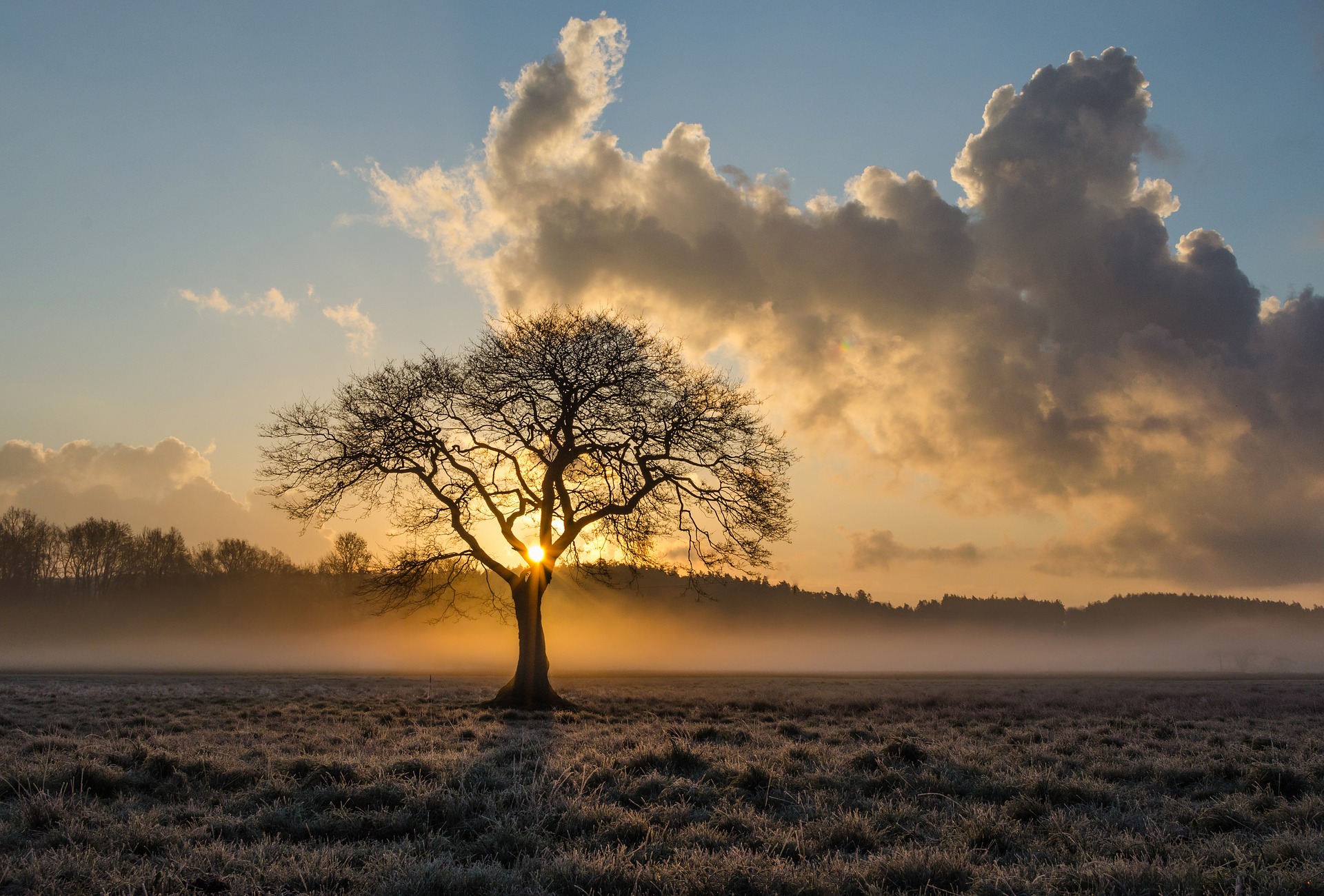 Why are some evolutionary relationships so controversial? 