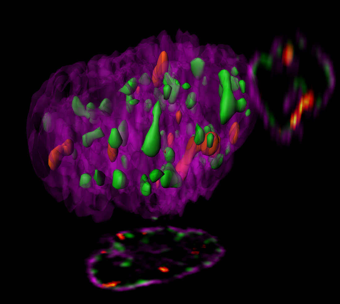 Ebola virus and HIV-1: two wolves in the same sheep’s clothing