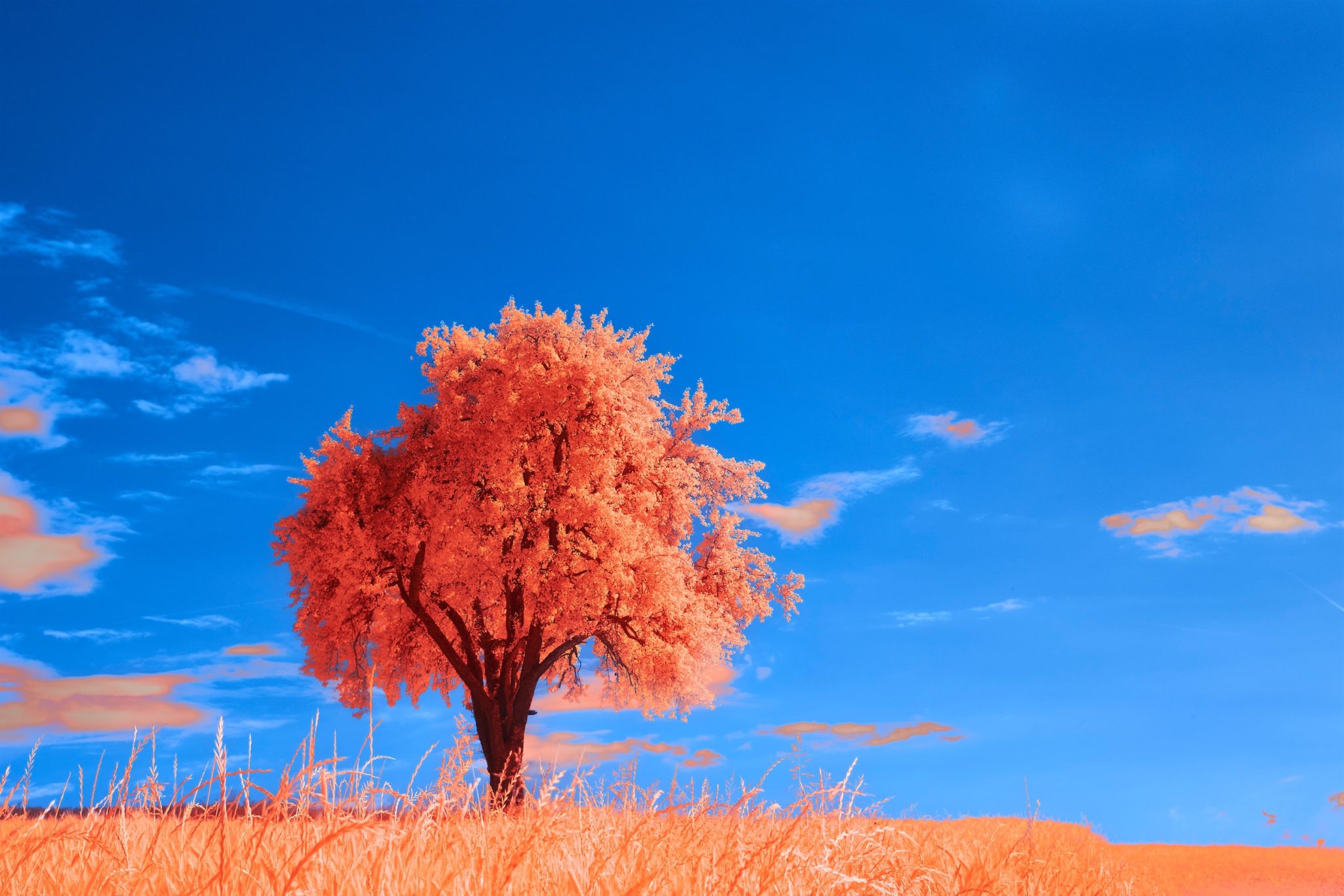 Top 6 community marketing strategies for businesses