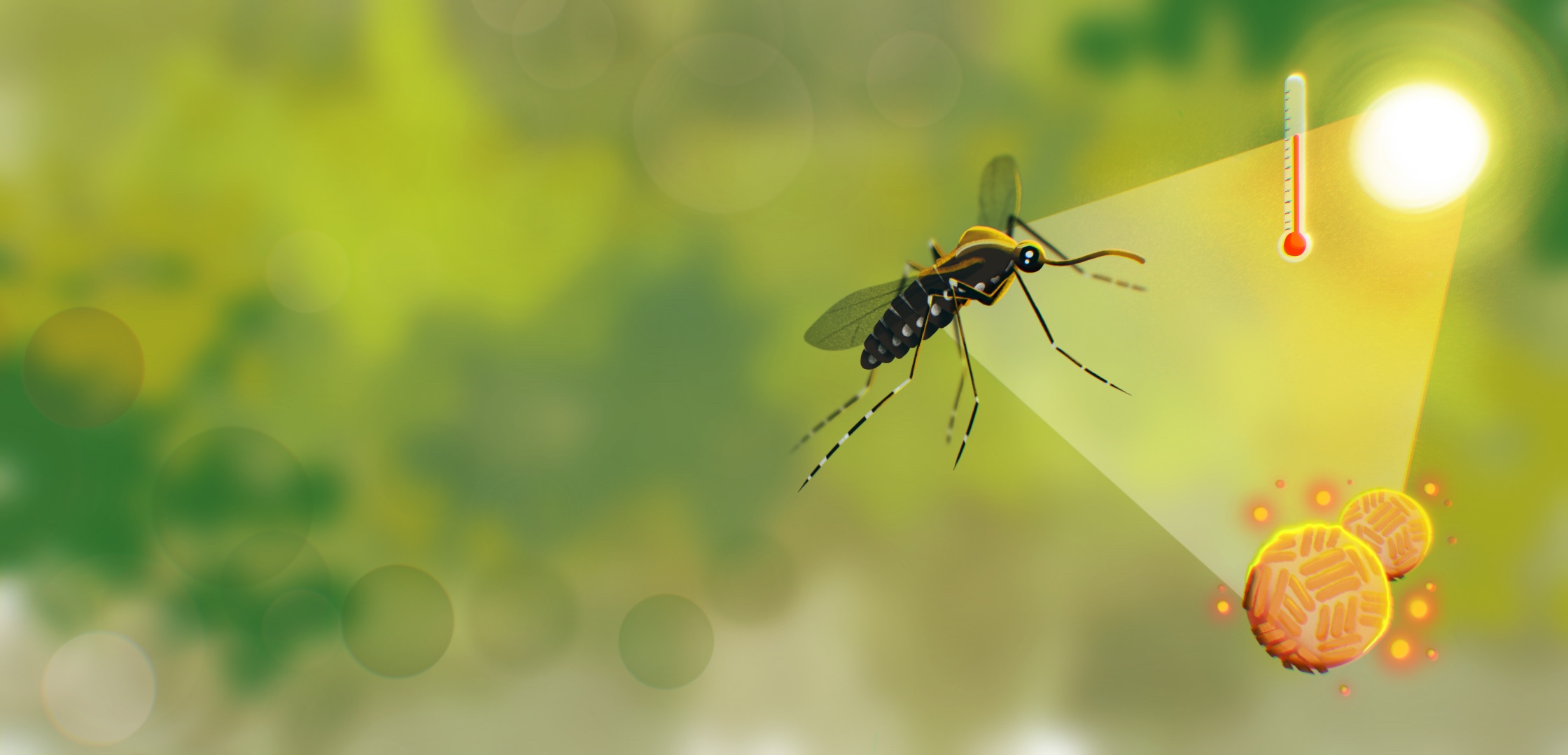 Warmer sicker? Or warmer stronger? How climate change shapes mosquito immunity.