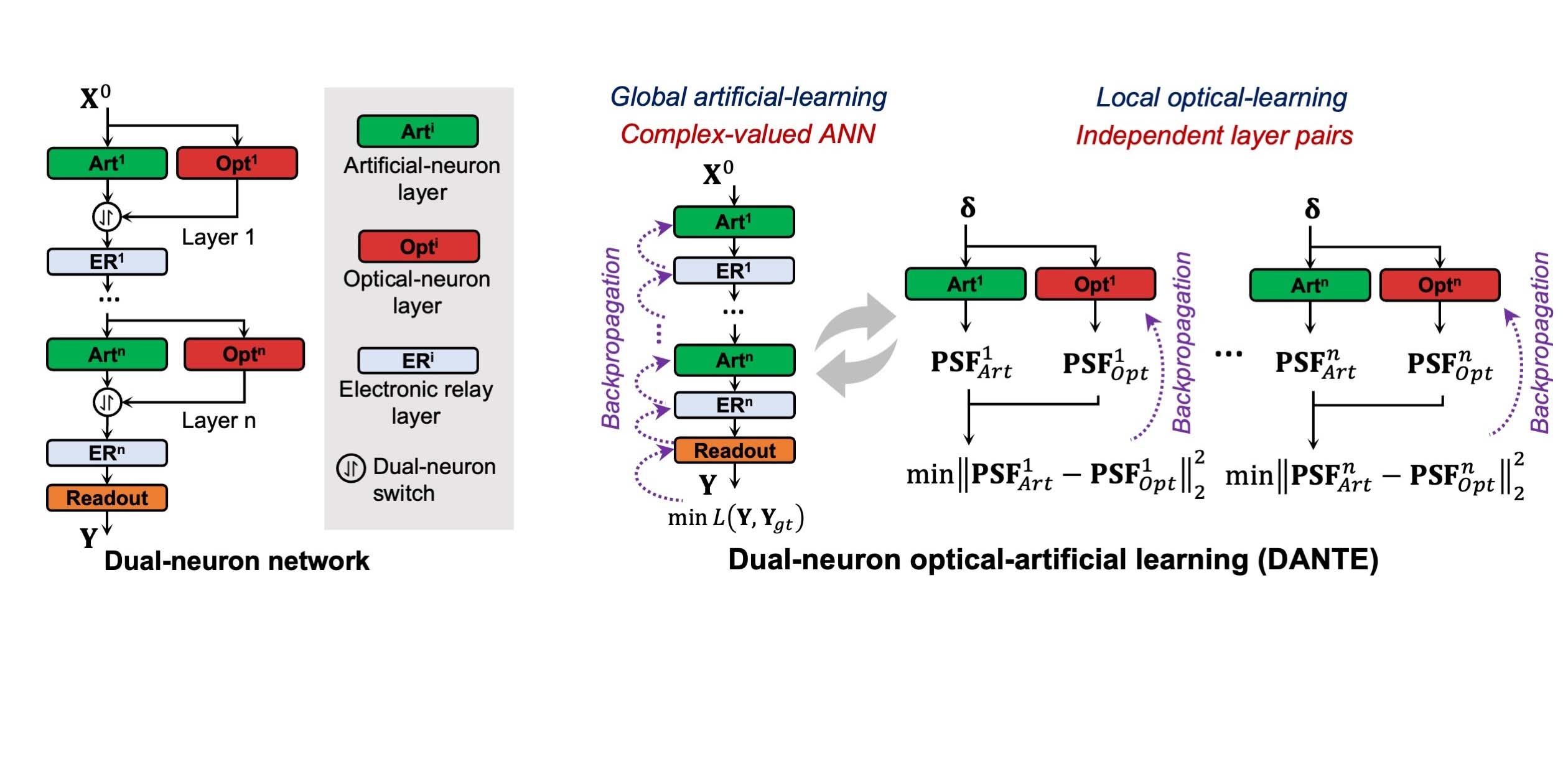 Training large-scale optoelectronic neural networks  with dual-neuron optical-artificial learning