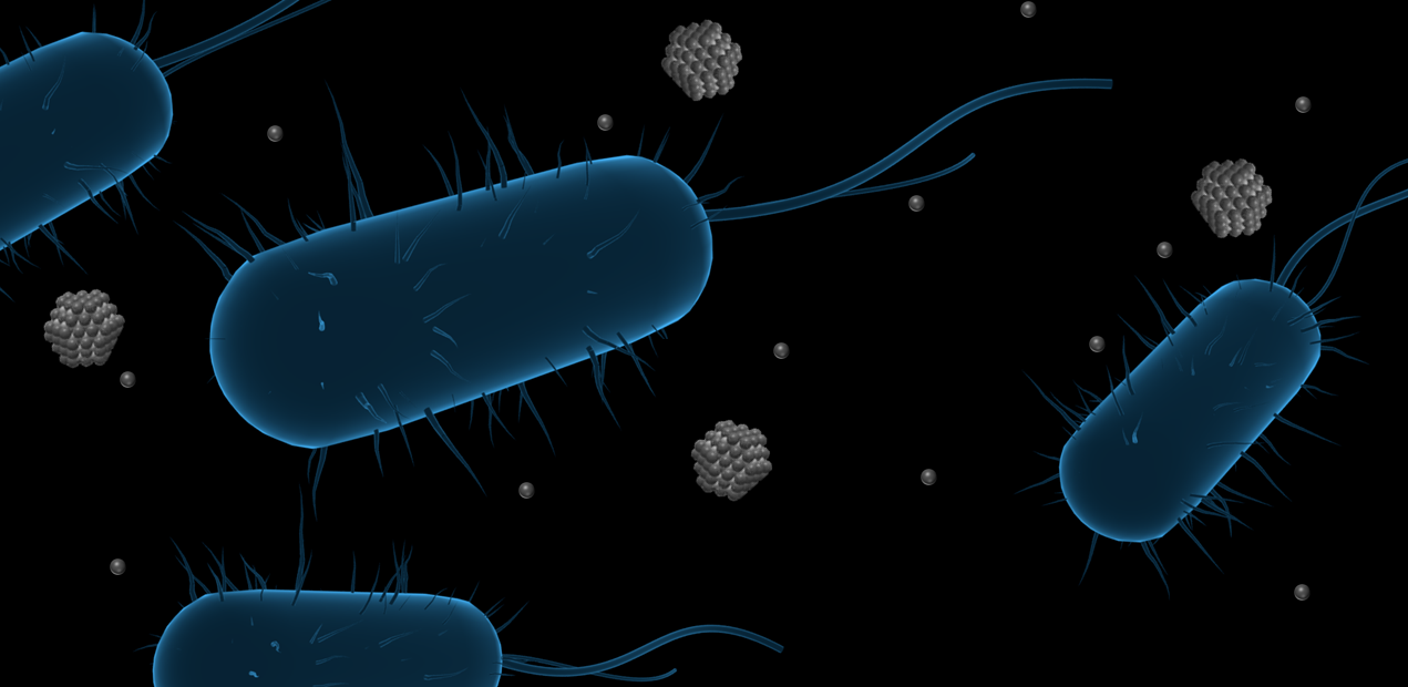 Silver nanoparticles, a sustainable antimicrobial? 