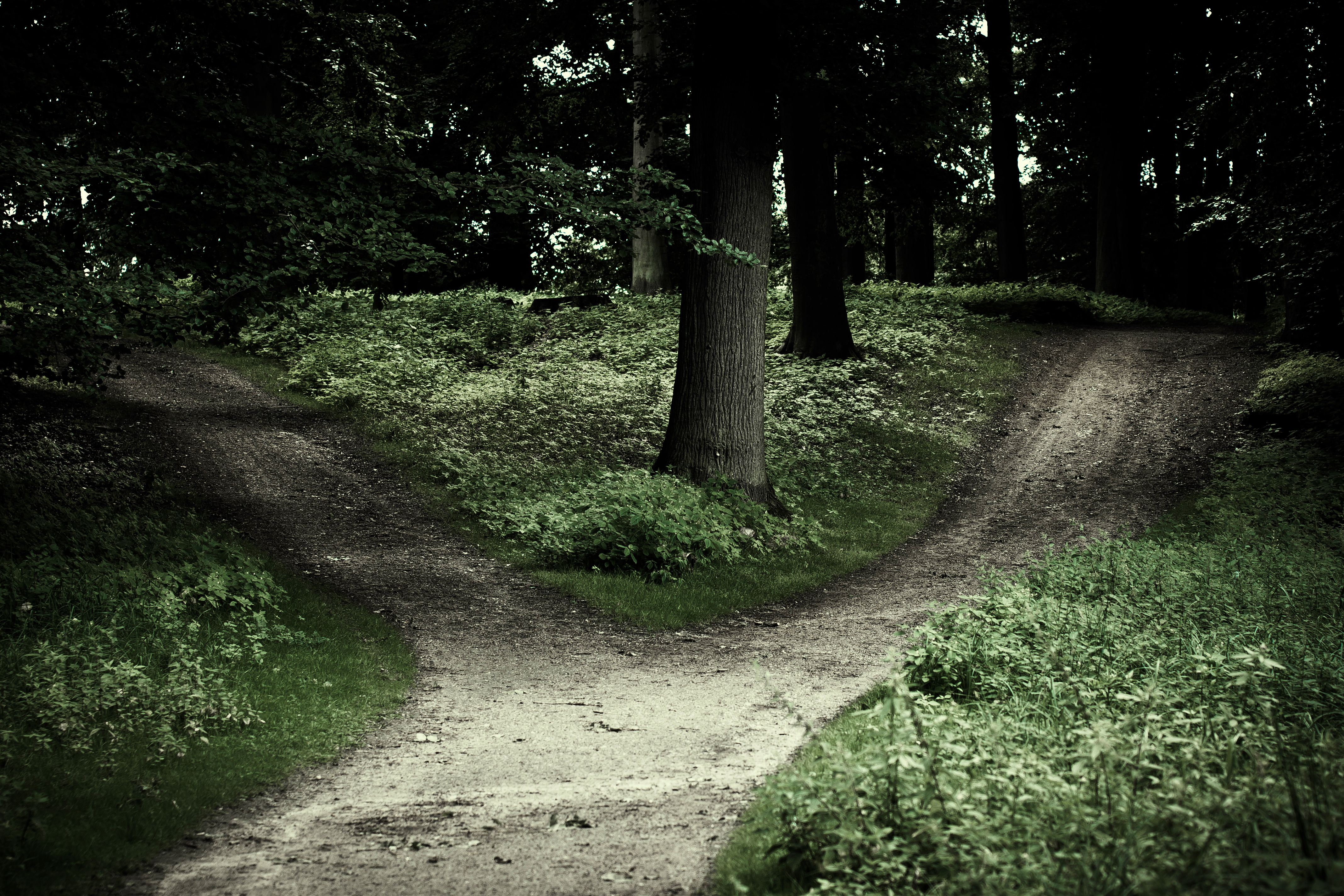 What is deliberation, and how does it influence our decisions?