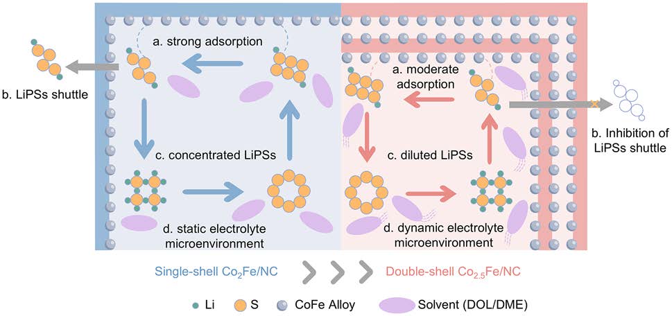Engineering Dynamic Electrolyte Microenvironments via Double‑Shell Hosts for Practical Lithium–Sulfur Batteries
