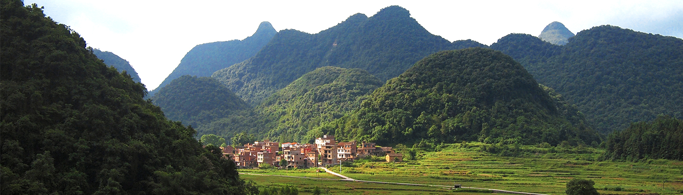 60 seconds with… Monica Contestabile
