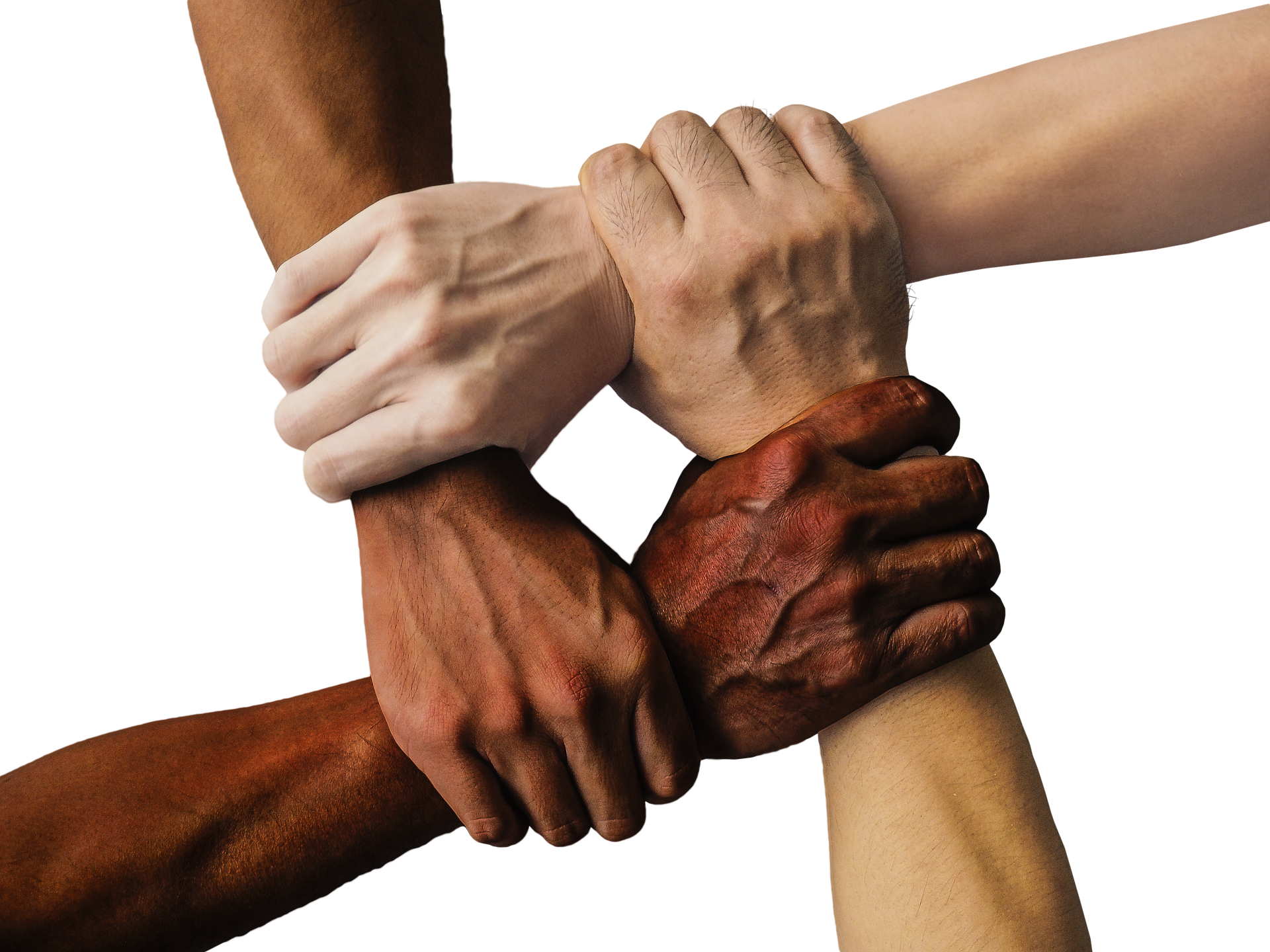 Diversity and Inclusion in Brain Research