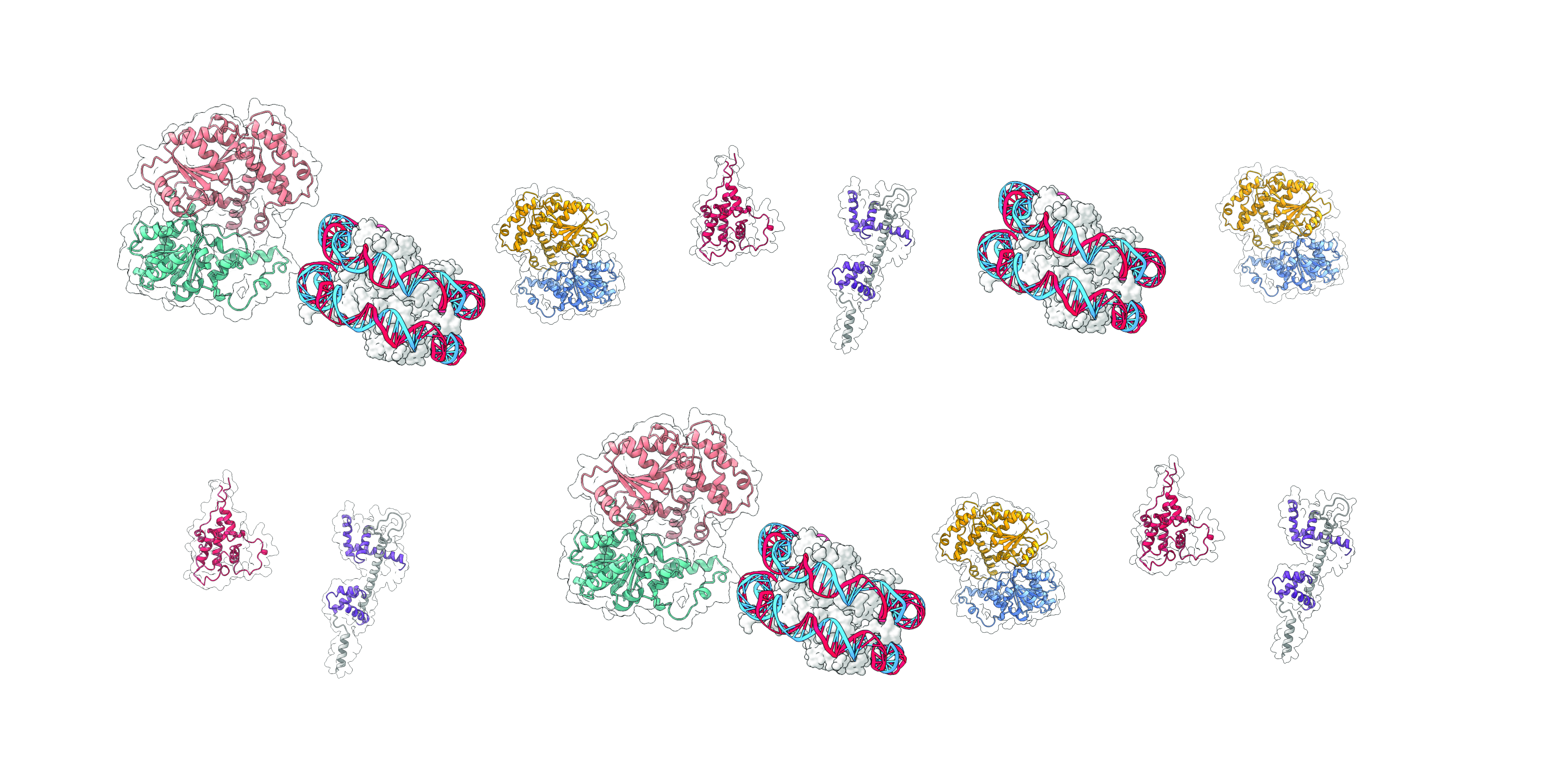 Open Sesame: The Protein Behind Parasite Stage Switching