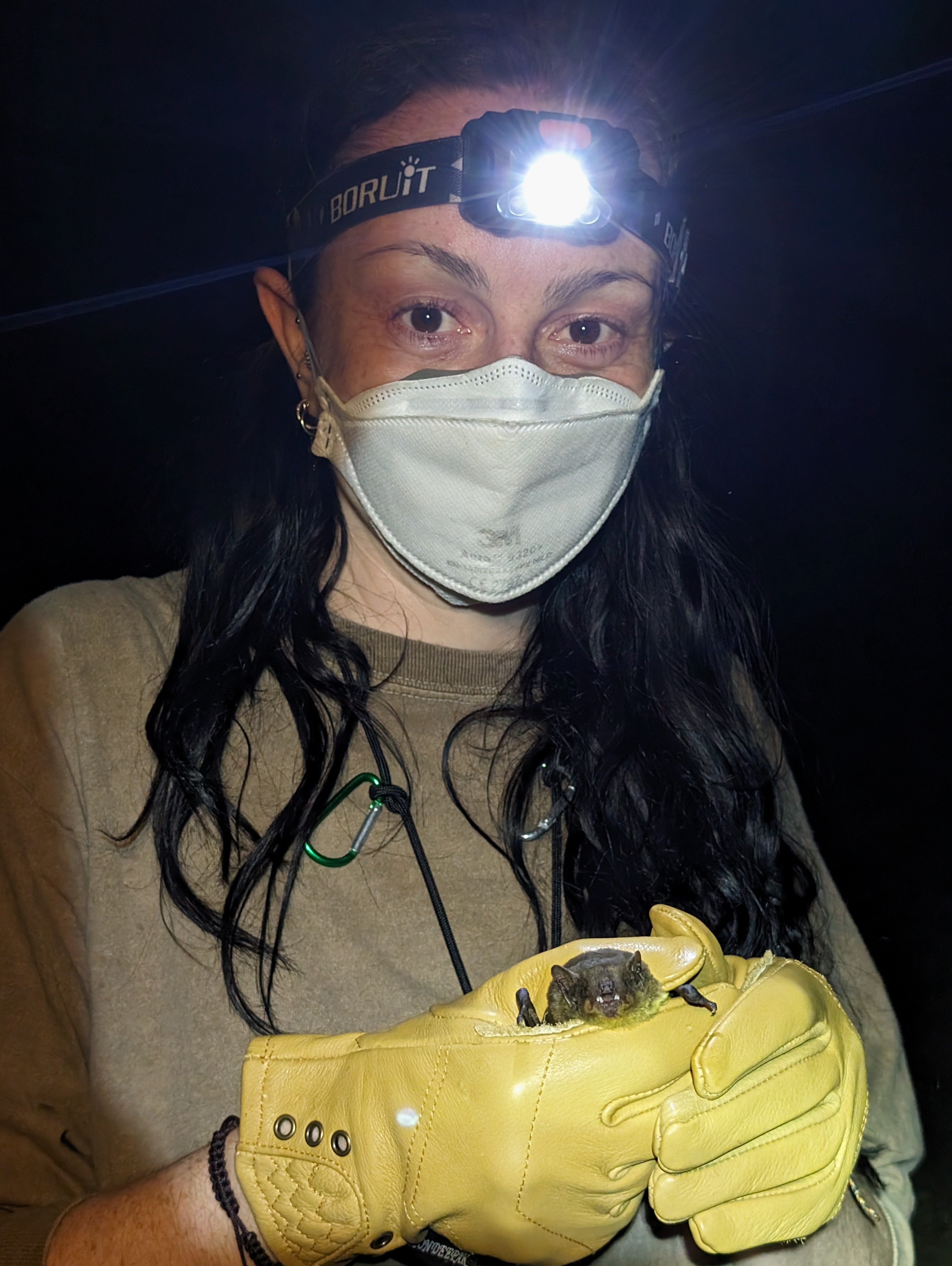 Go to the profile of Charley Bird