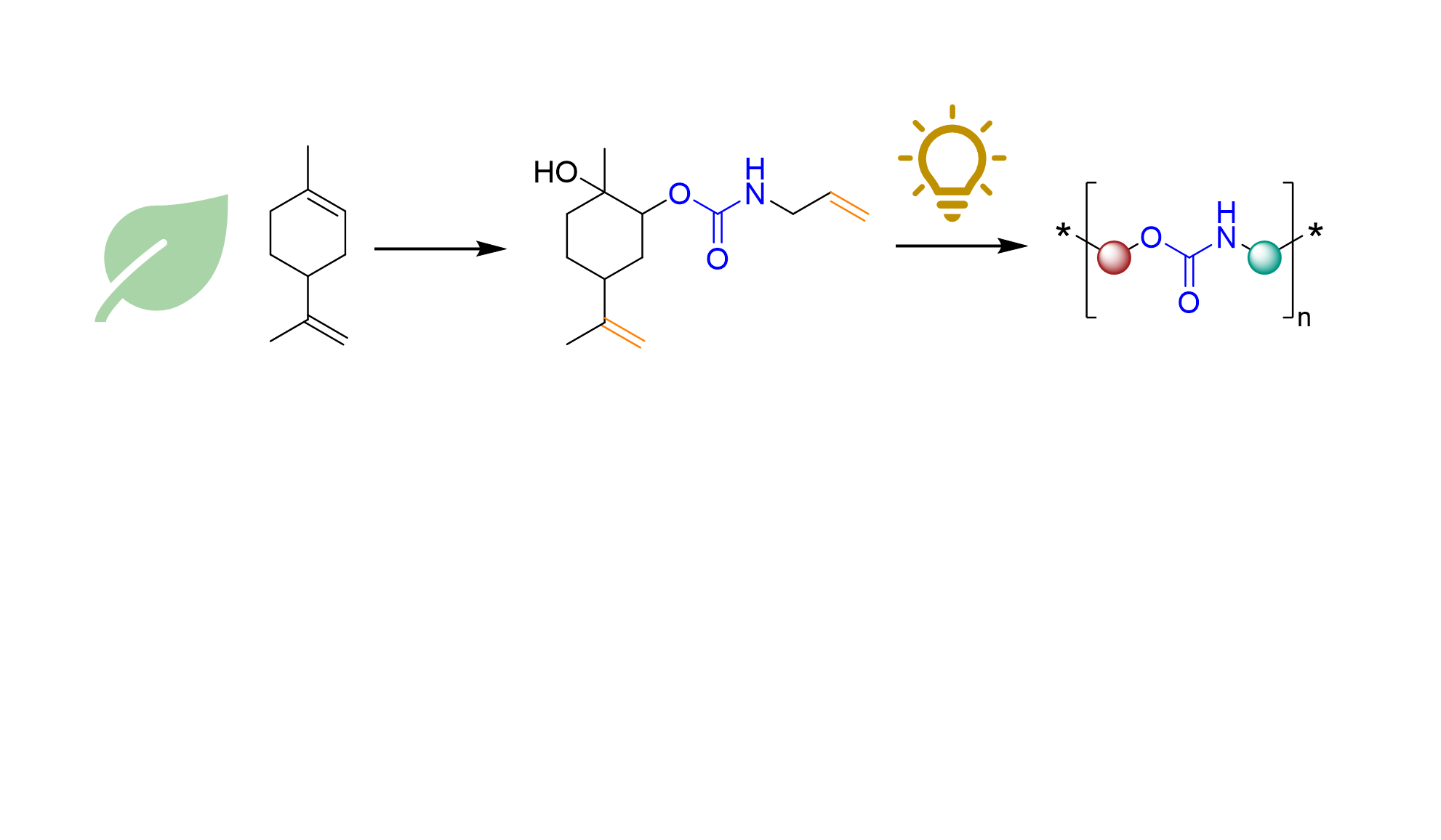 Non-Isocyanate Polyurethanes from Terpenes Using Thiourea Organocatalysis and Thiol-Ene-Chemistry