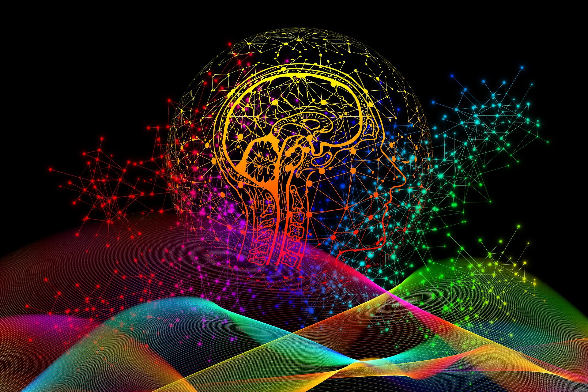 Attentional lapses are linked to local sleep-like activity in the awake brain
