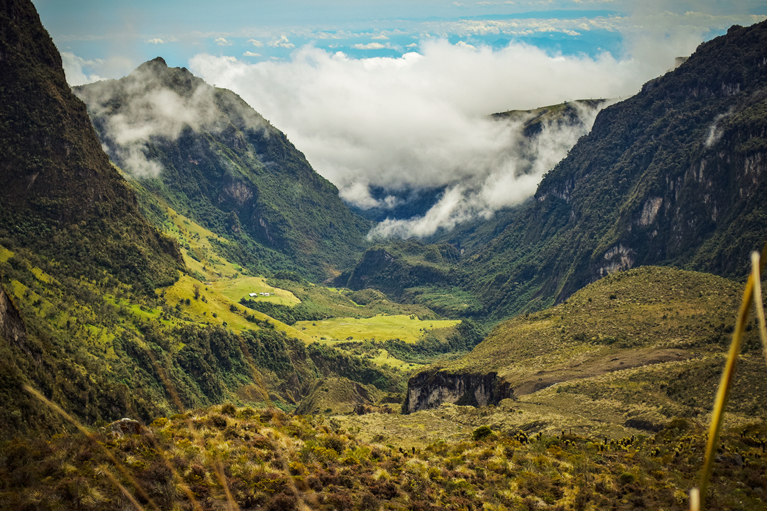A spider helped us reveal how the Andes contribute to the formation and maintenance of Neotropical biodiversity