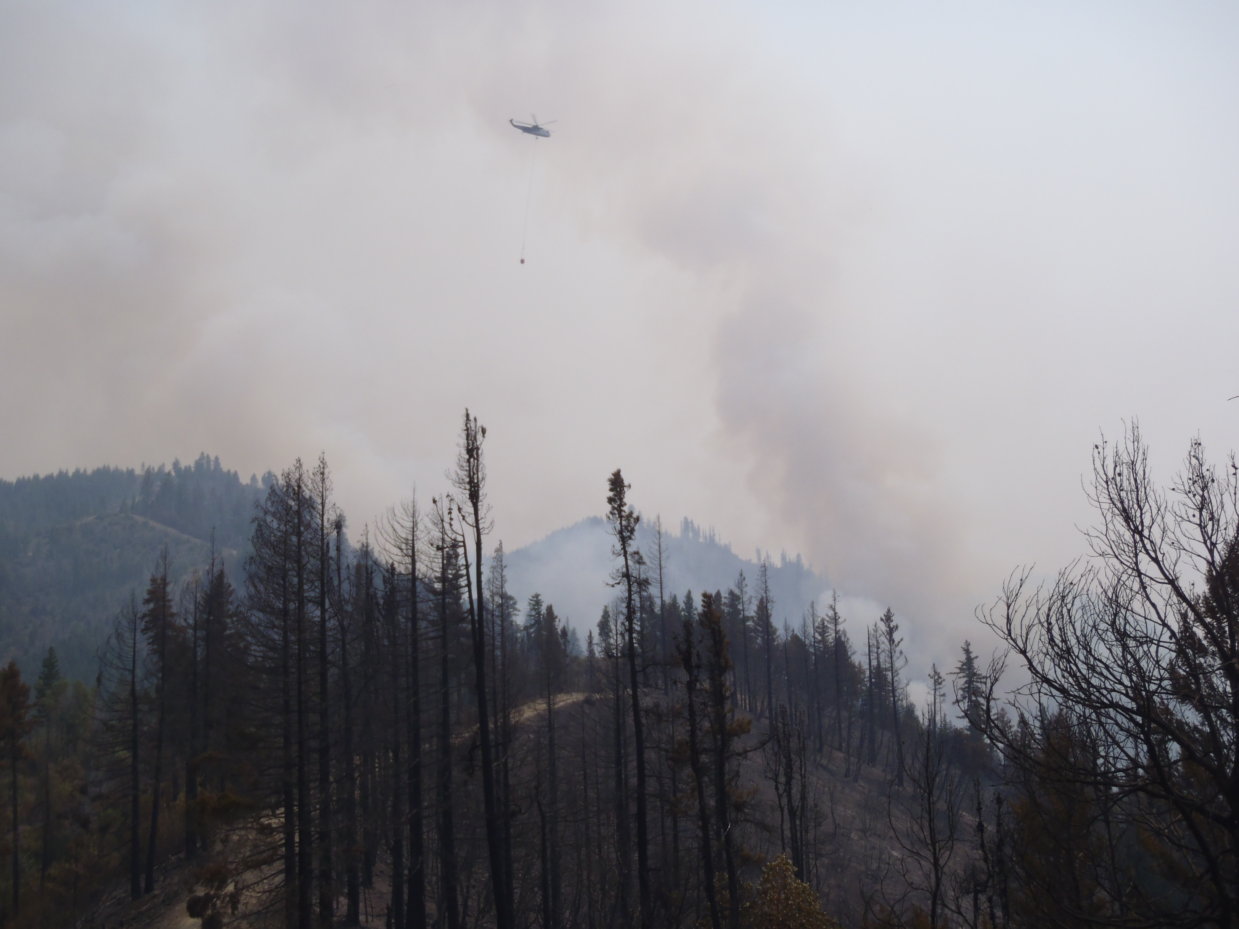 Welcome to the Anthropocene: How wildfire reality is eclipsing wildfire science