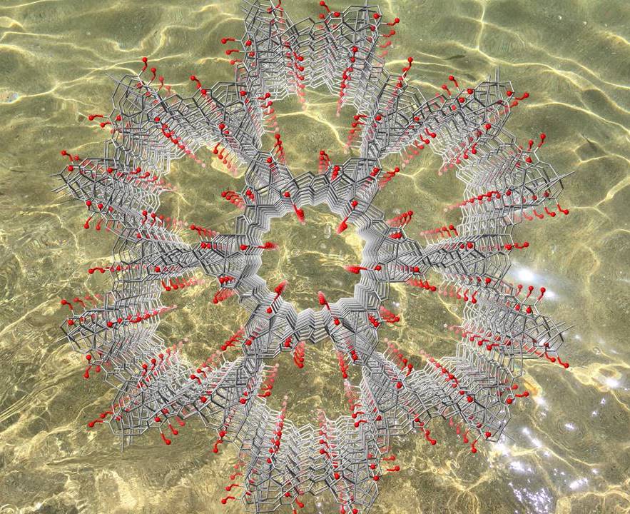 Enzymatic catalysis in MOF confined spaces allows structural resolution of natural products