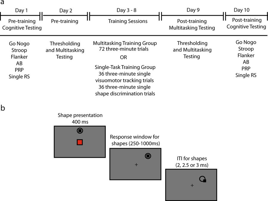 Editorial Summary—Dynamic, continuous multitasking training leads to task-specific improvements but does not transfer across action selection tasks