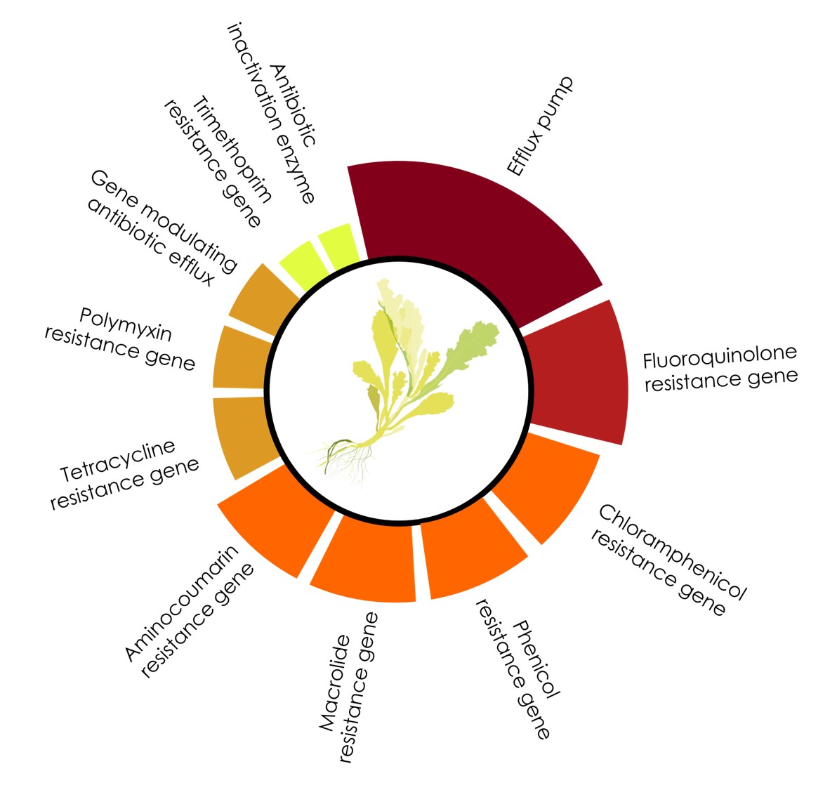 Naturally occurring antibiotic resistances in plant microbiomes