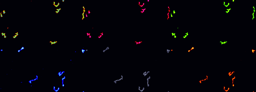 Looking at long non-coding RNAs from a 3D structural perspective