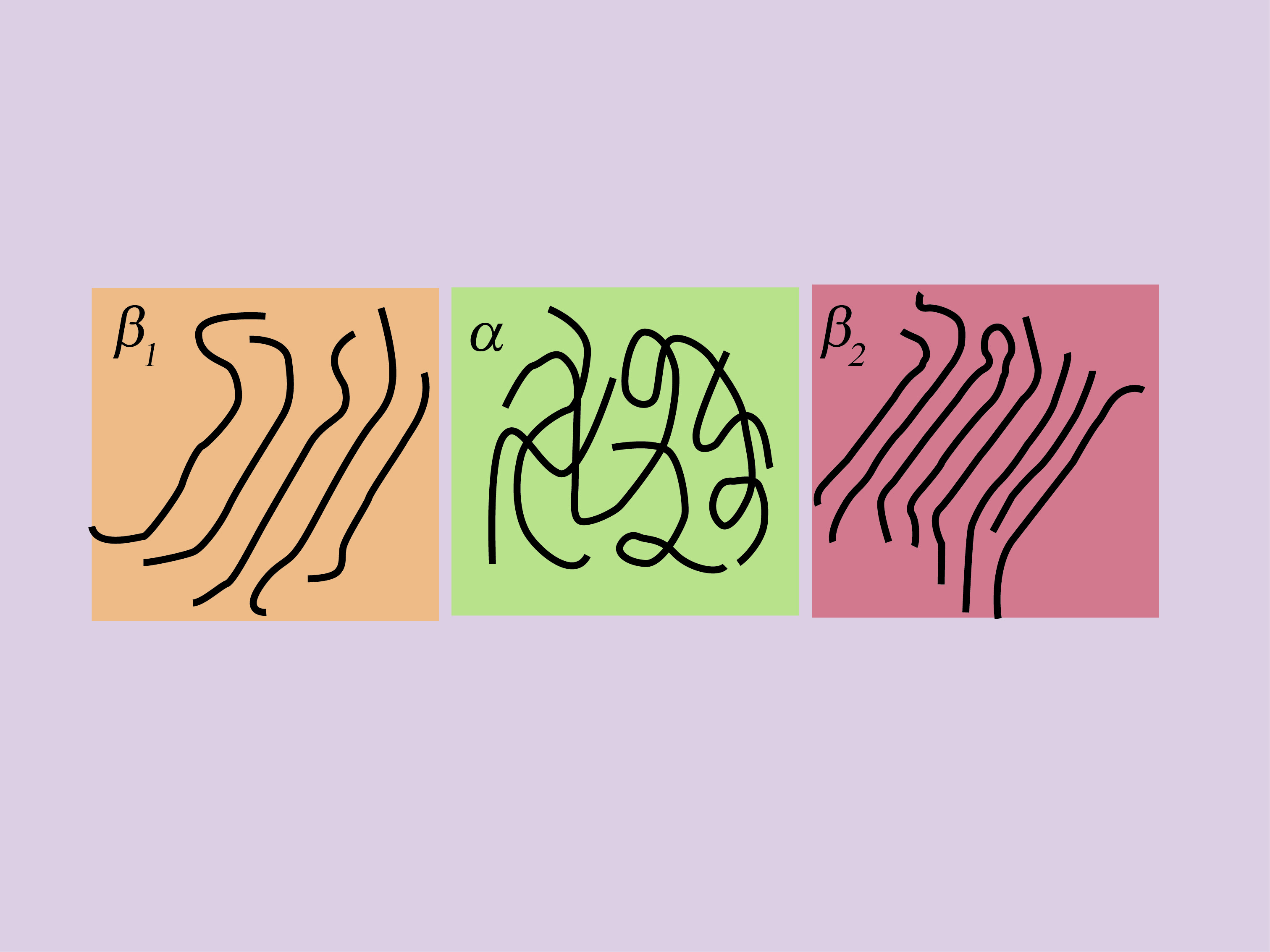 Polymorphism of a low-bandgap semiconducting polymer 