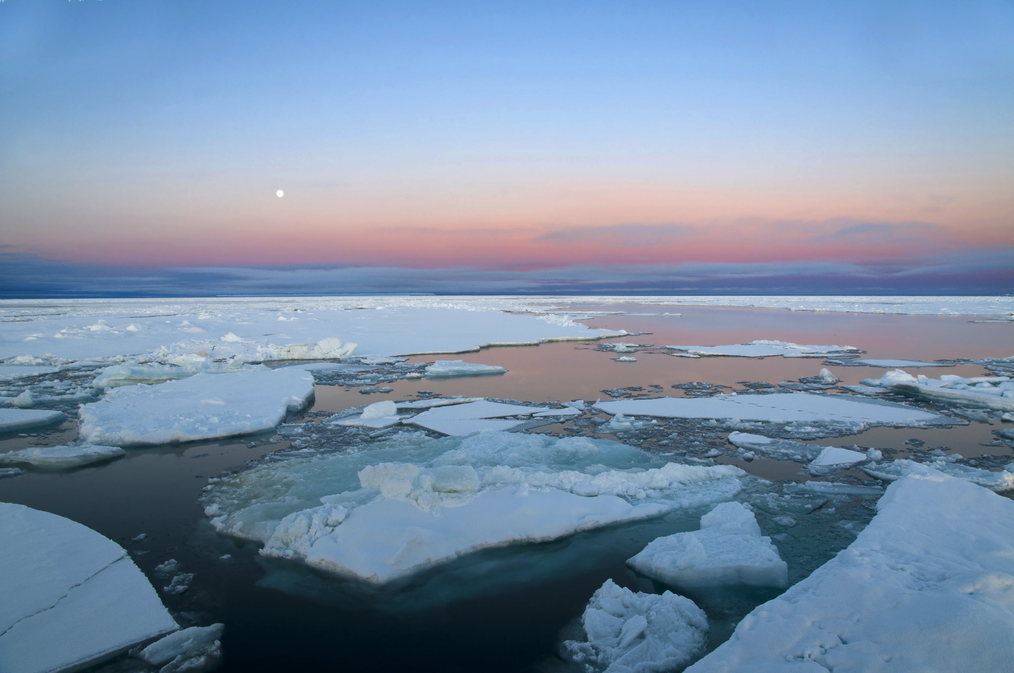Environmental ancient DNA – a game changer in paleo sea ice research?