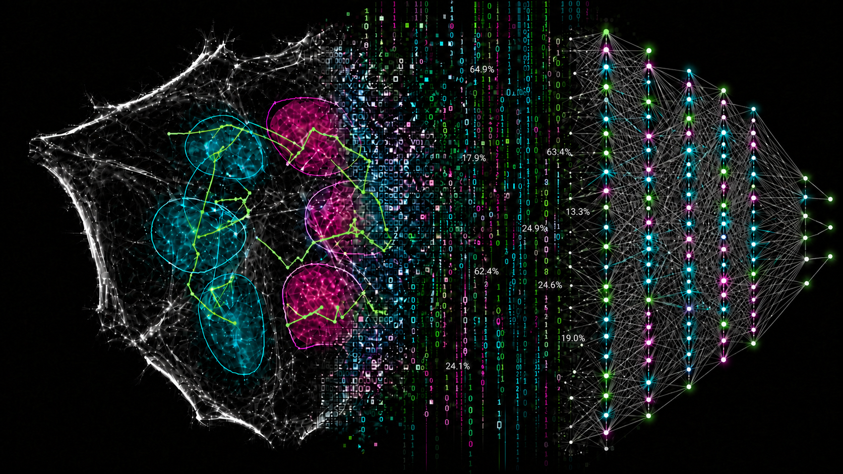 Peeking at the cell’s clock: the story behind CALIPERS