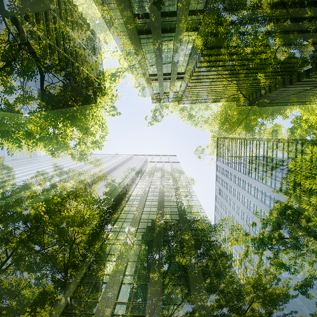 Top 100 in Sustainability | Scientific Reports