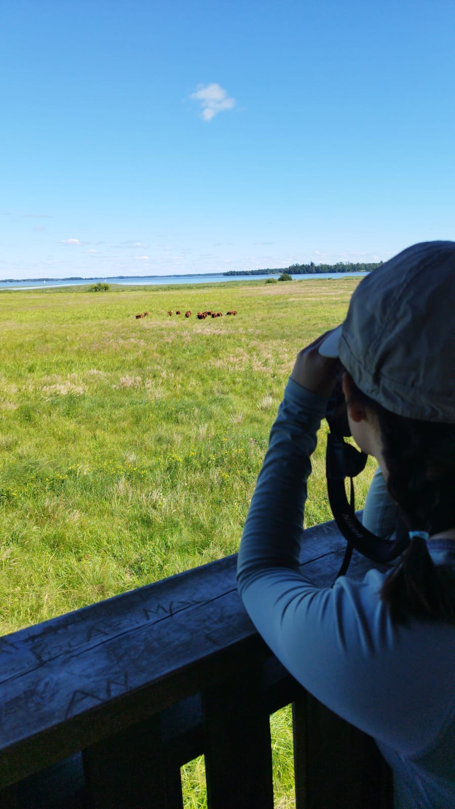 LiA Week 2: Leadership, learning, and LÖSÅN