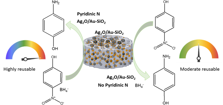 Pyridinic N anchored Ag and Au hybrids for detoxification of Organic pollutants