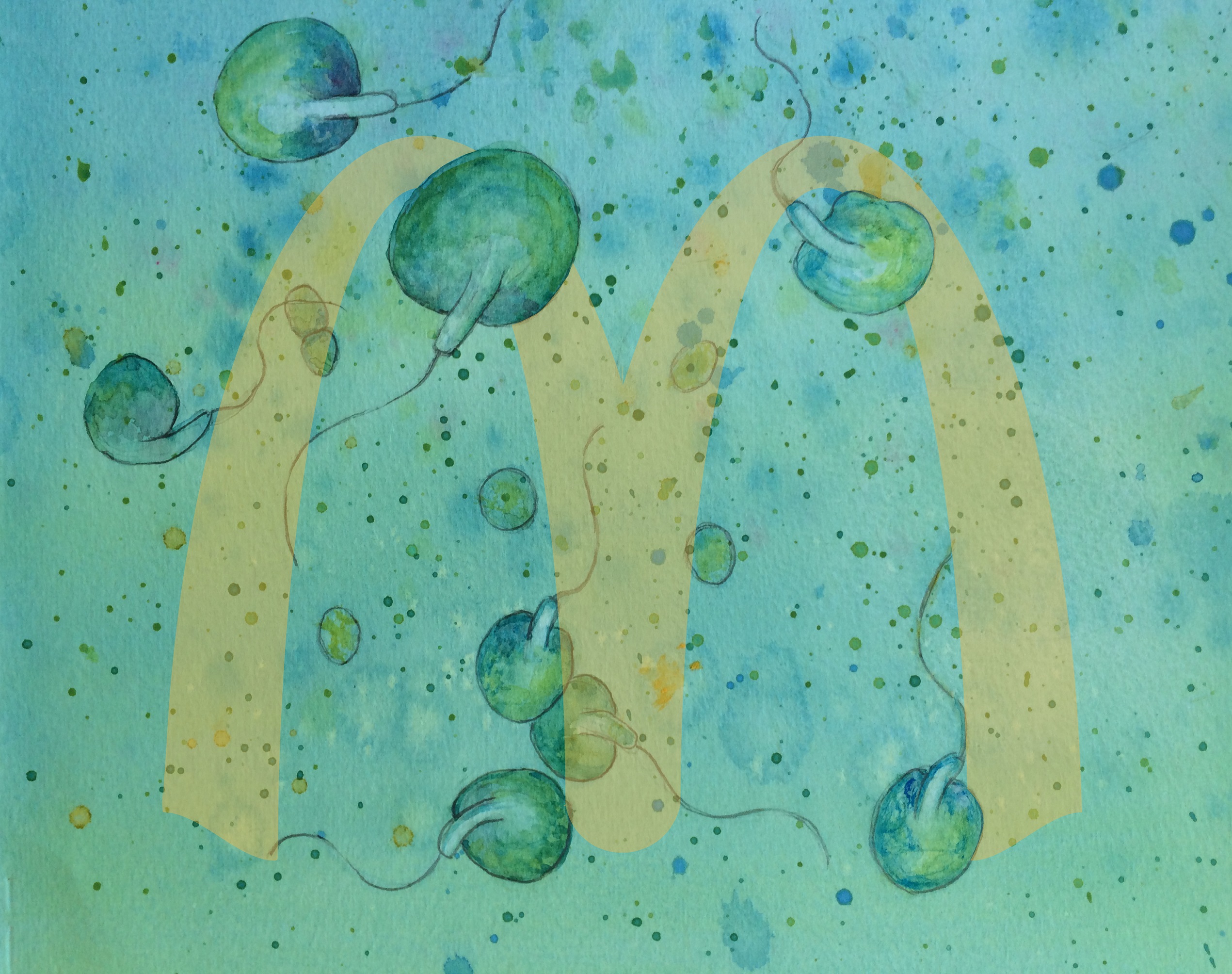 How algae hack it in the ocean 