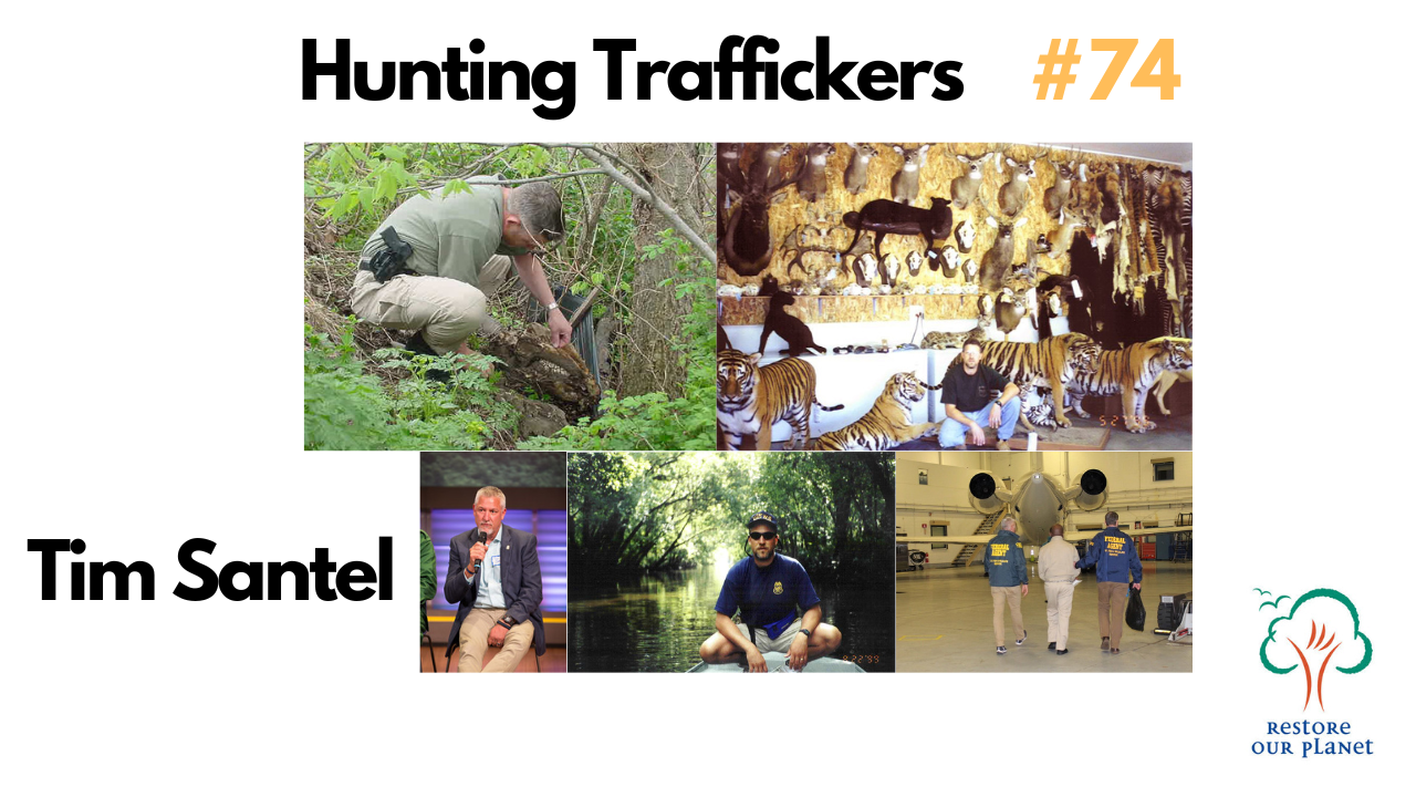 Restore Our Planet Podcast #74 Hunting Animal Traffickers: Tim Santel