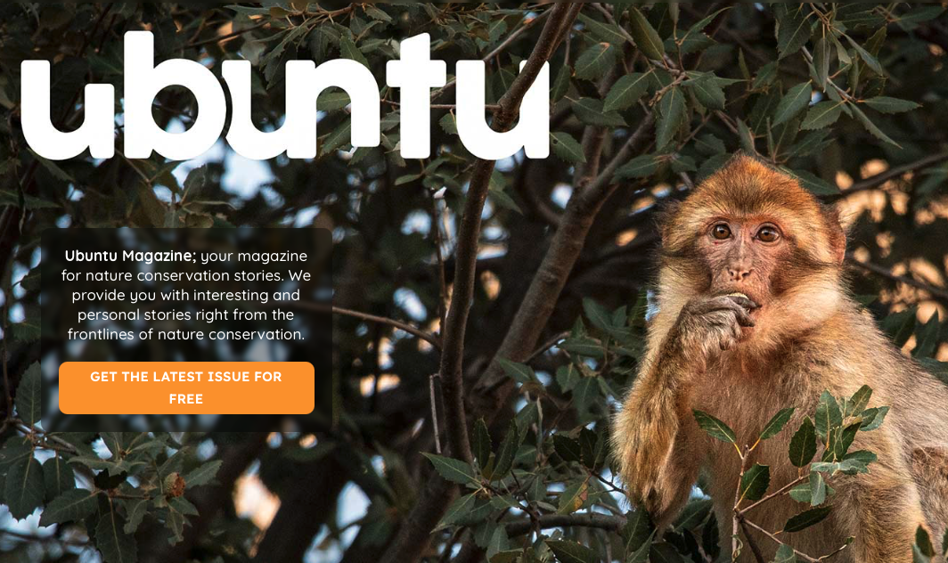 🌿 Share Your Story in Ubuntu Magazine – Inspire, Connect, Amplify 🌍