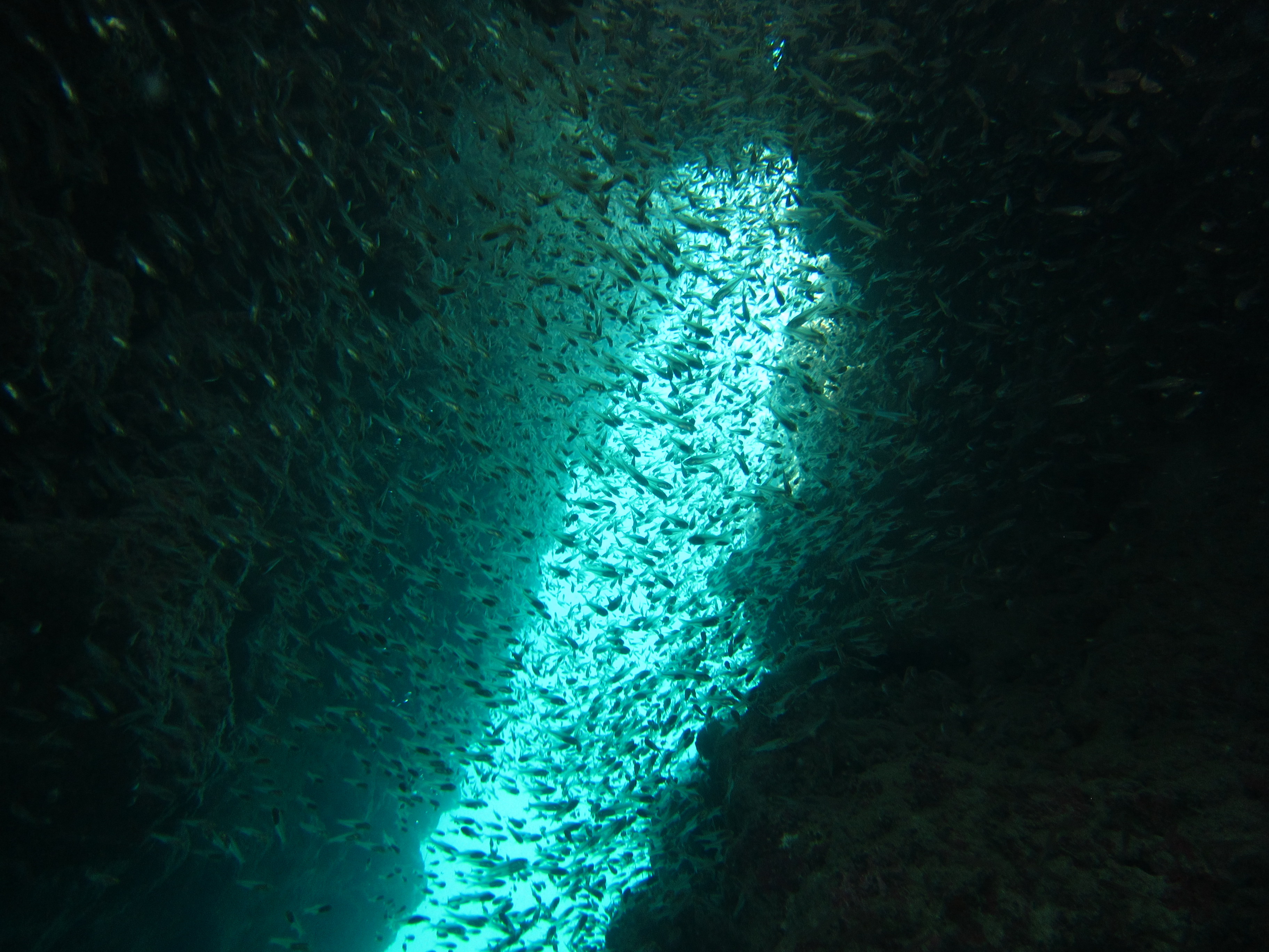 Winter warming has larger and more widespread effects on fish communities