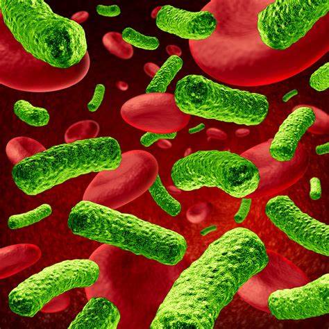 A cell-ebrity amongst the strains of bacteria causing sepsis infections: Exploiting the relationship between Lipopolysaccharide (LPS) and capsule for therapeutic benefit against E.coli UTI and sepsis