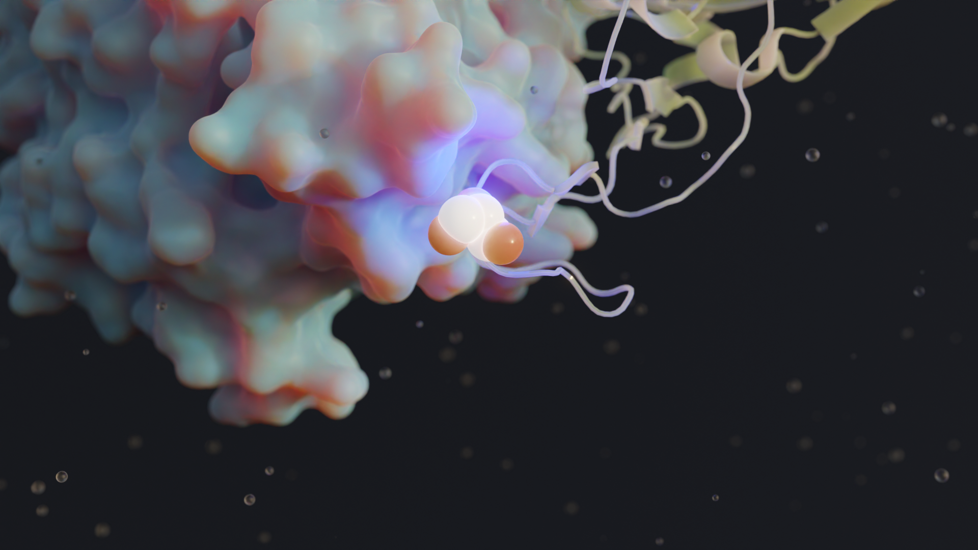 Discovering dominant viral variants and their implications for host-protein binding.