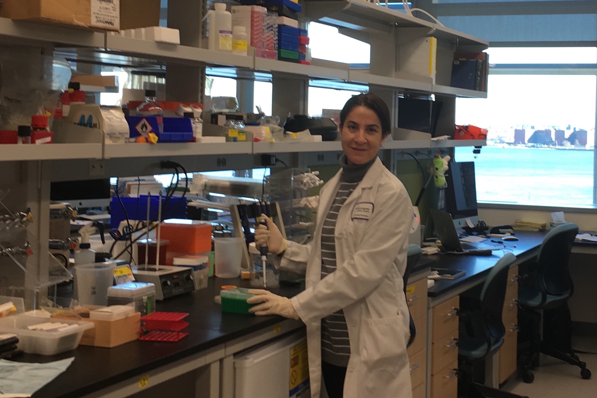 The route towards T cell activation: how TB and I crossed paths