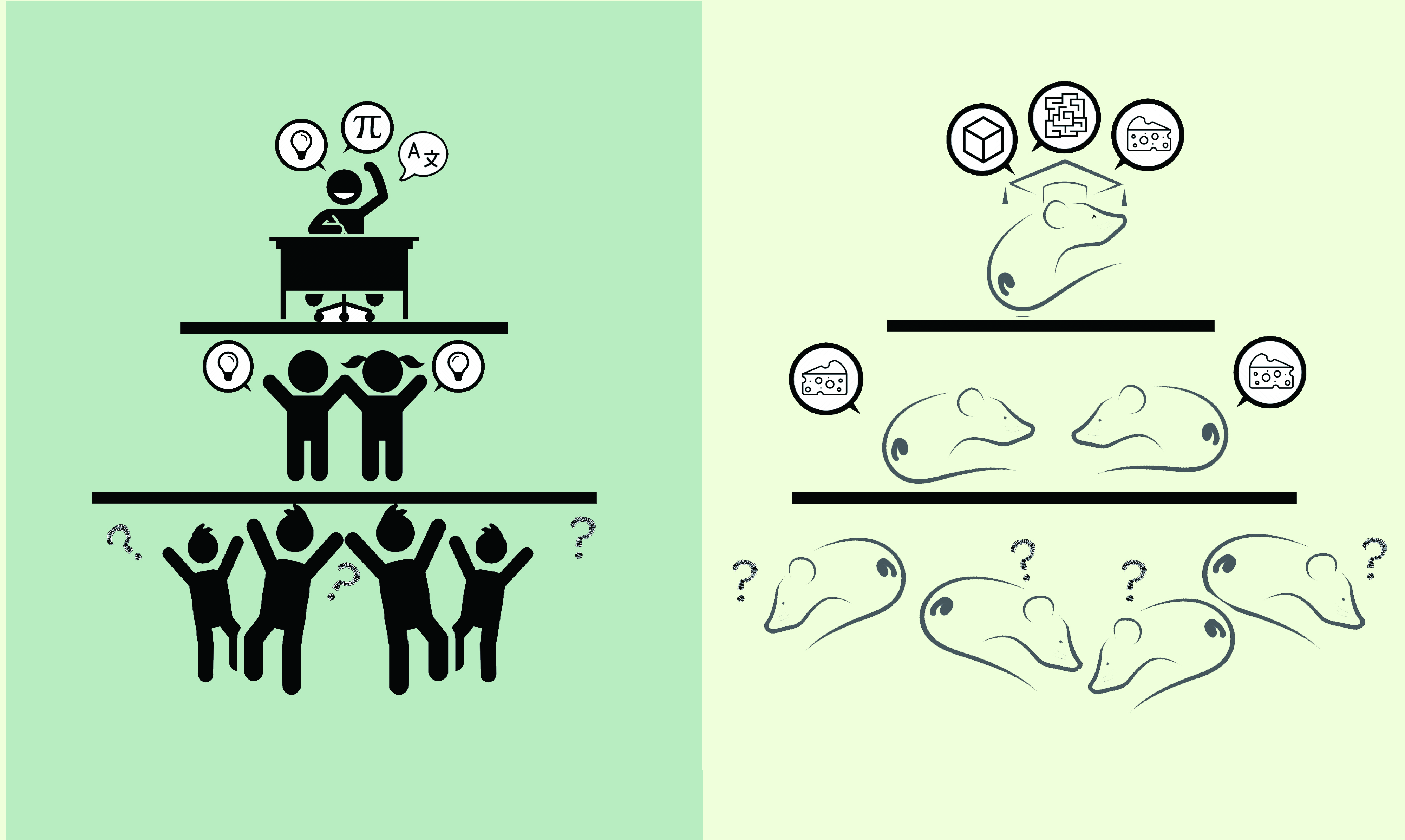 The better memory, the higher status.