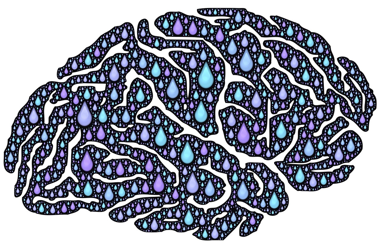 Analysing Human Cerebrospinal Fluid Proteomes