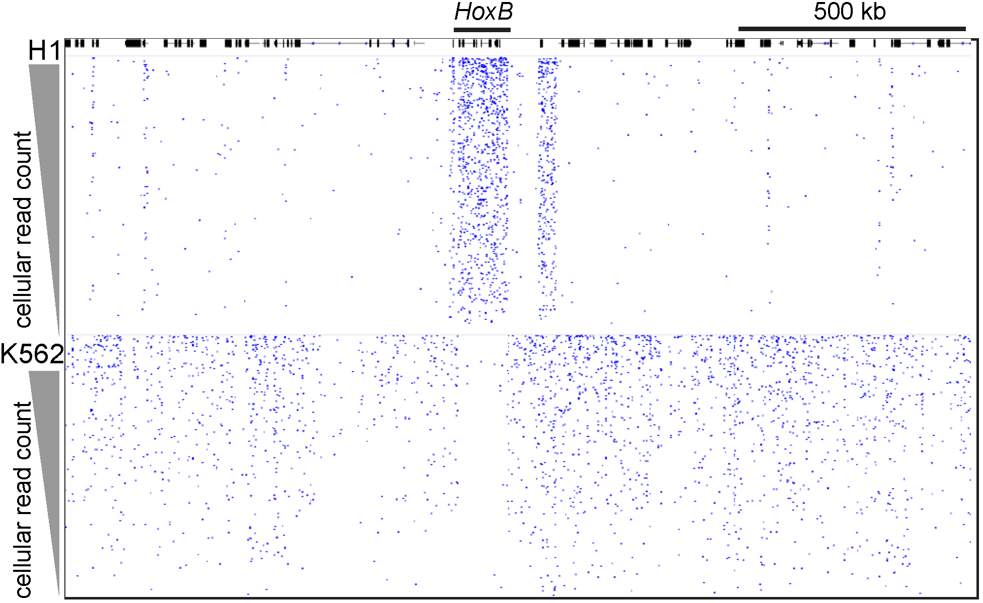 Tethering enzymes to profile chromatin