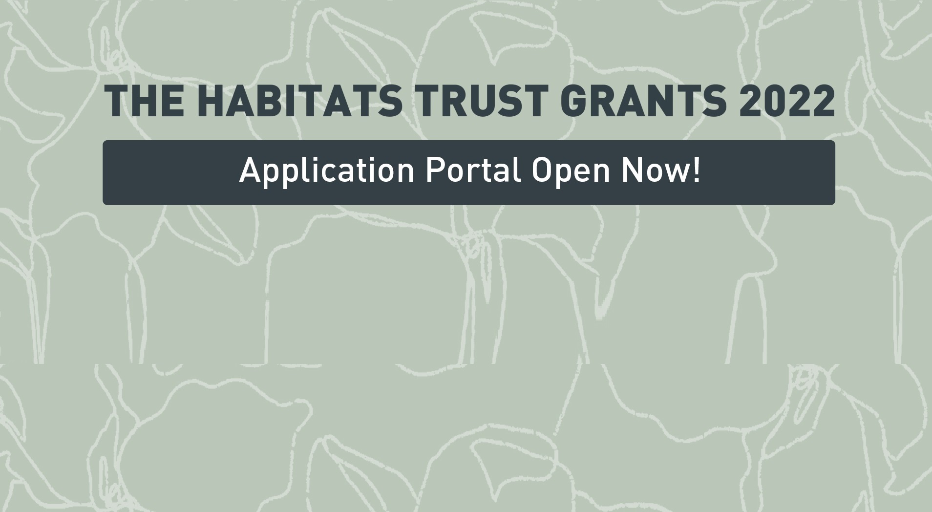 Grants for organisations/individuals (India)