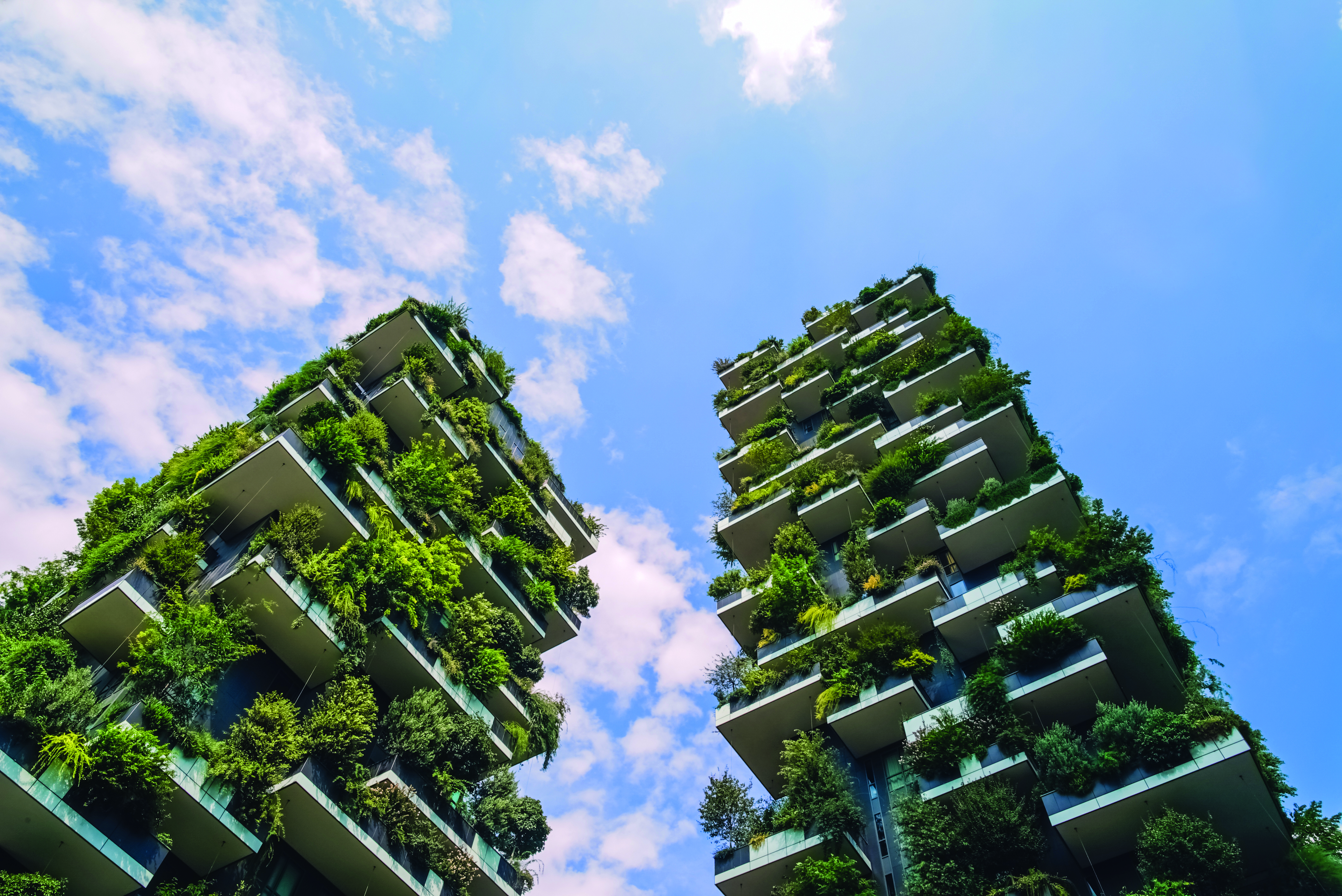 Science and the Sustainable City Summit