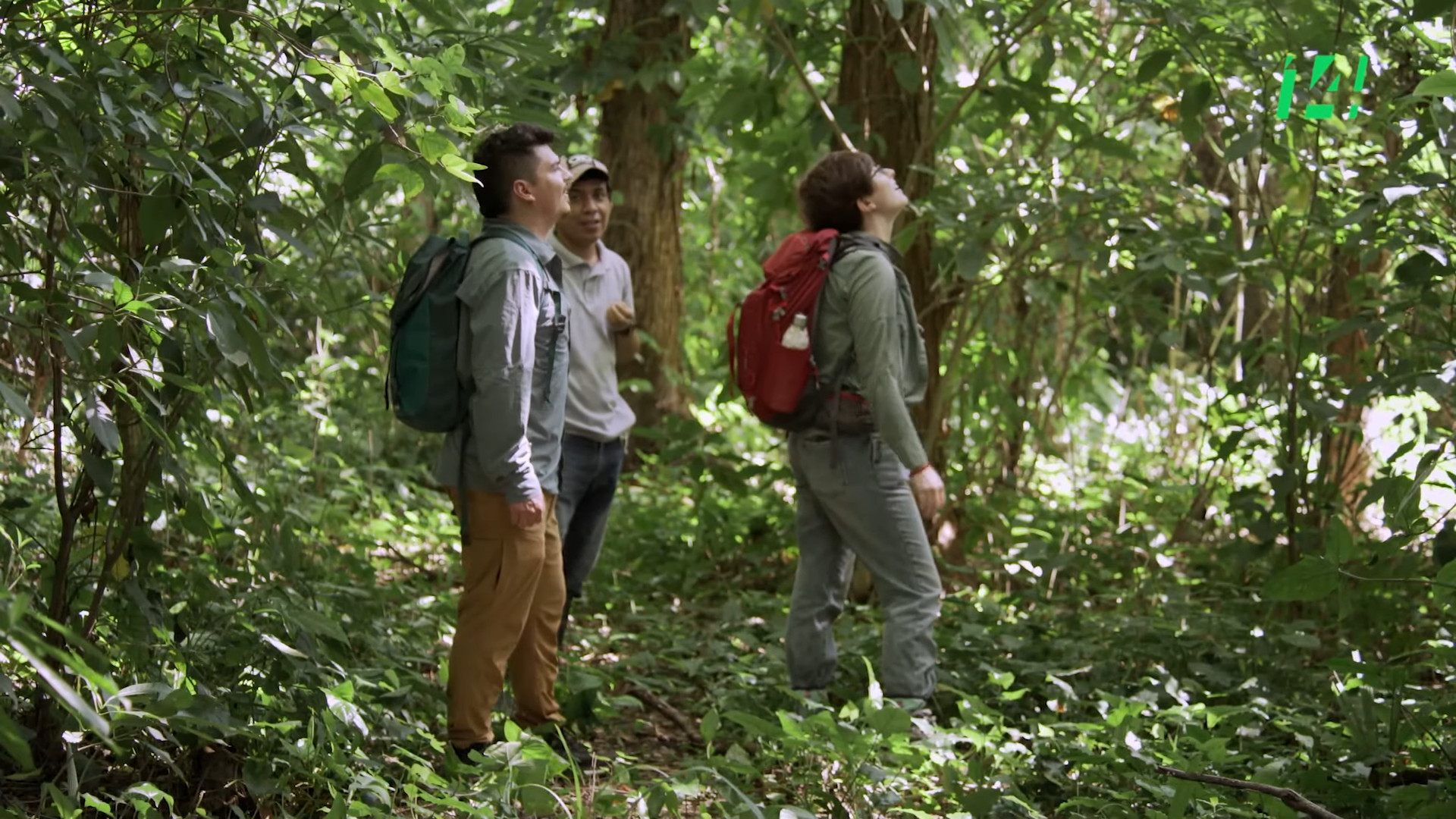 Shifting Forests, Shifting Minds: A Journey in Reshaping Mental Models